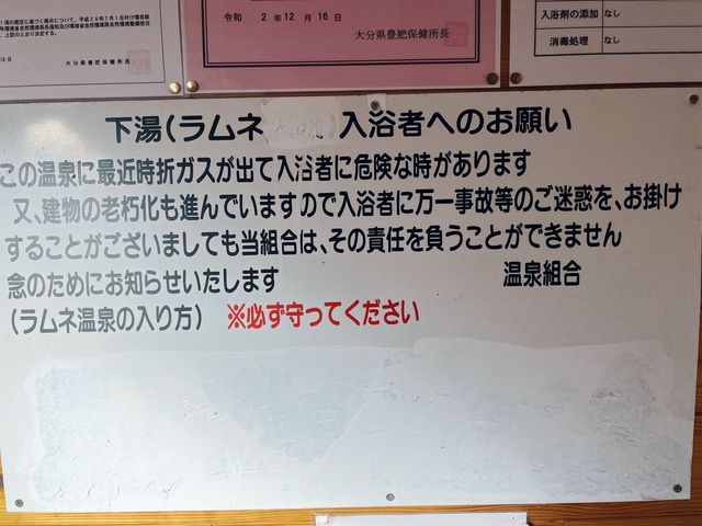 【大分】ソーダ温泉、日本一の炭酸風呂