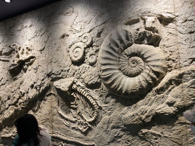 名古屋の水族館といえばココ🐠！【名古屋港水族館】
