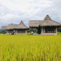ที่พักวิวธรรมชาติ