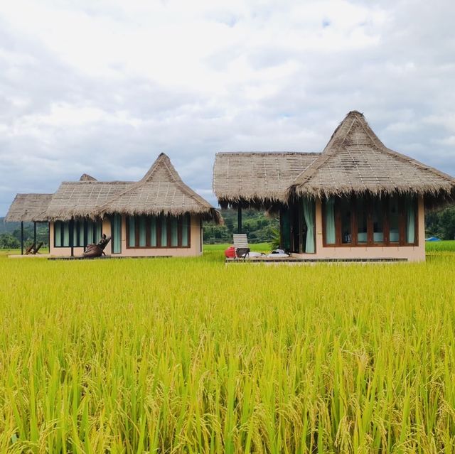 ที่พักวิวธรรมชาติ