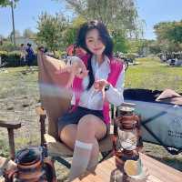 한강공원 캠크닉(캠핑+피크닉) 도심속의 힐링지 🍀