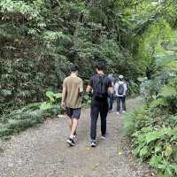 位於台北市區的仙境步道 富陽生態公園