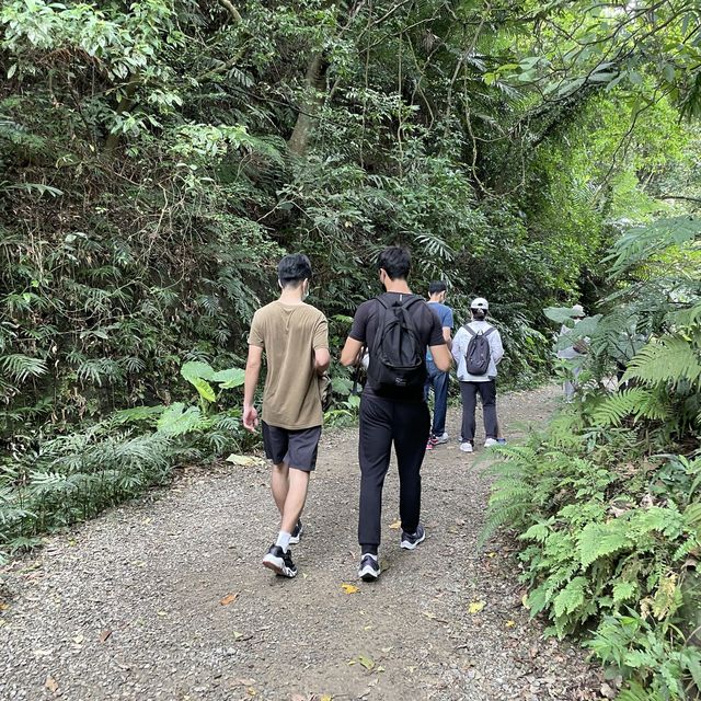 位於台北市區的仙境步道 富陽生態公園