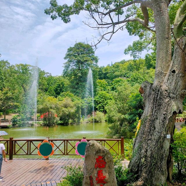 位於台中山中的東勢林場遊樂園