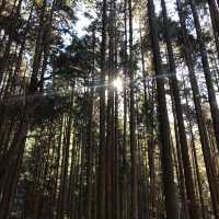 來一趟古人之旅 — 「中山道」