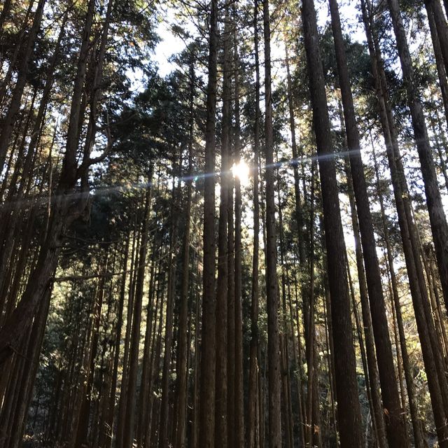 來一趟古人之旅 — 「中山道」