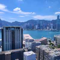 提起鮑魚一定記得這間餐廳