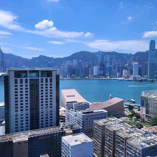 提起鮑魚一定記得這間餐廳