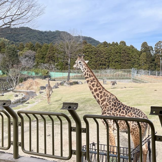 平川動物公園【鹿児島県/鹿児島市】