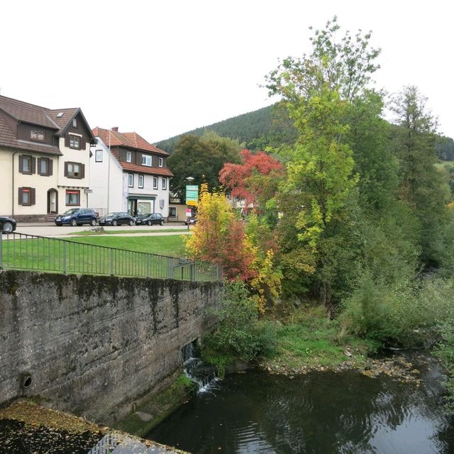 Enjoying the fall season in Baiersbronn 
