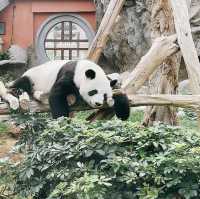 全港最大海洋公園‼️超令水族館😗期間限定萬聖節🎃活動