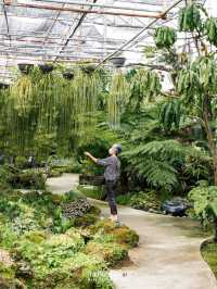 🌵Botanist Activity Space & Cafe
