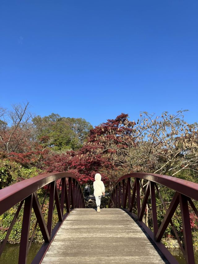 こどもの国🌳