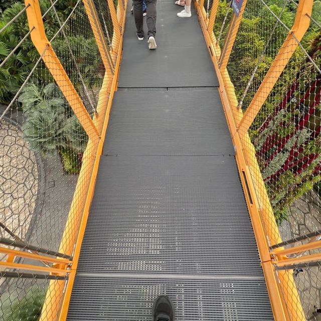 OCBC skyway