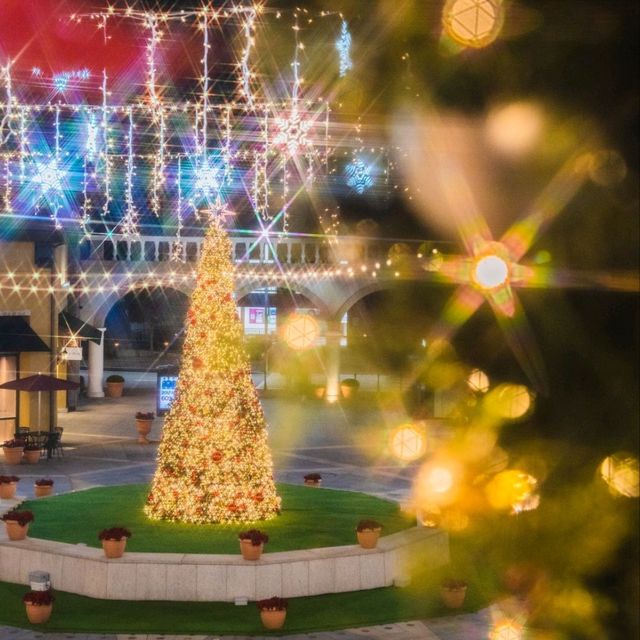 🎄대형트리와 사람없이 사진찍을 수 있는 부산스팟! [부산, 신세계프리미엄아울렛]