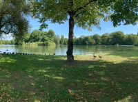 Largest Urban Park in Munich
