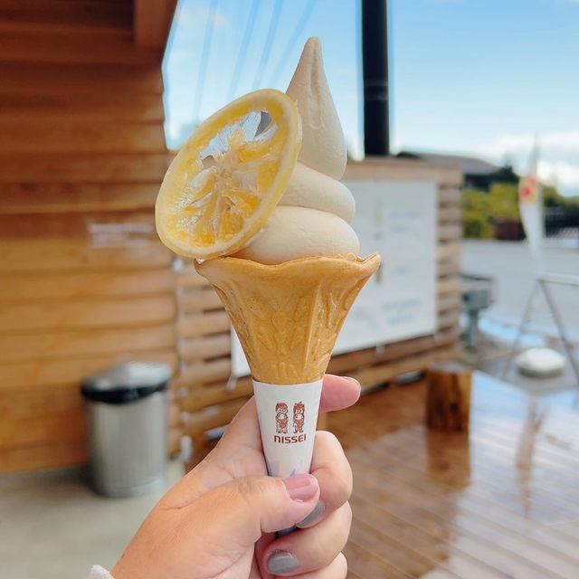 【能登島】ばりうま♡紅茶のソフトクリーム🍦
