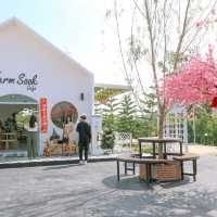 ฟาร์มสุข คาเฟ่ มหาสารคาม