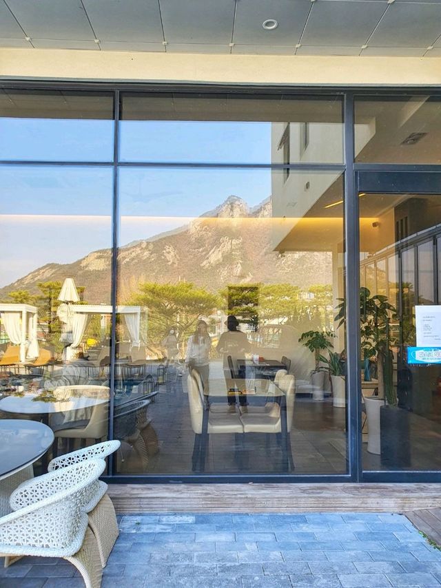 계룡산이 보이는 동학사 카페 공주 라루체☕️