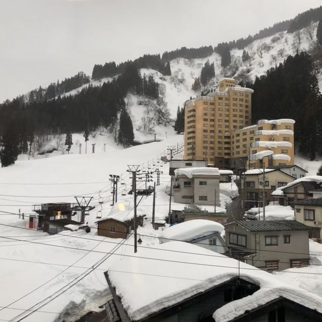 雪の花で過ごす休日