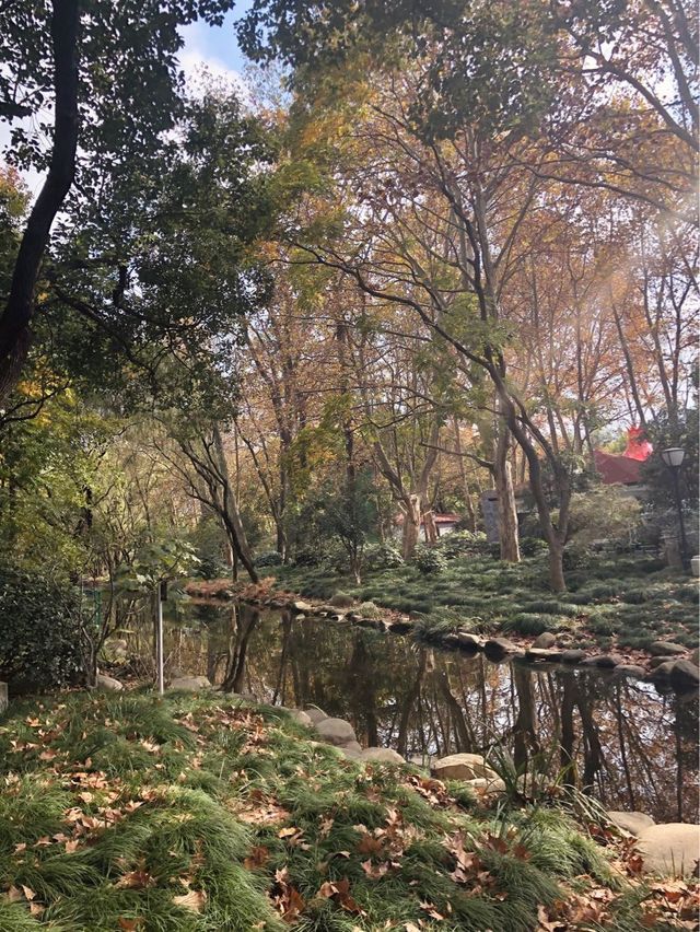 Fall in love in this Park in Shanghai 🍁