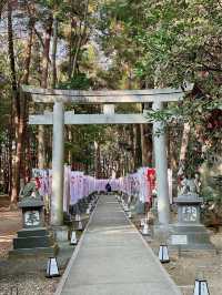 豊川稲荷⛩初詣　