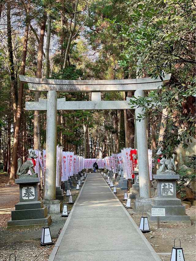 豊川稲荷⛩初詣　