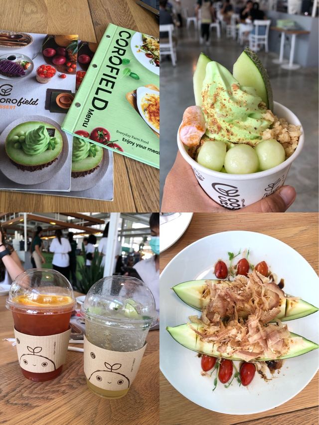 ชมฟาร์มเมล่อนพร้อมทานผักออแกนิคสดๆ