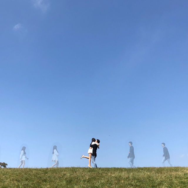 피크닉하고 인생샷찍기 딱 좋은, 올림픽공원 나홀로나무🌳
