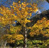 紅葉の梓川