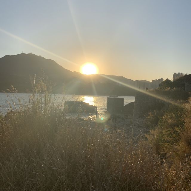 仍然秋季，看看芒草