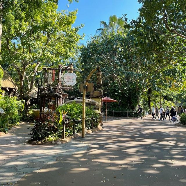 冬天遊迪士尼樂園