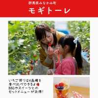 関東のいちご狩りスポットまとめ6選