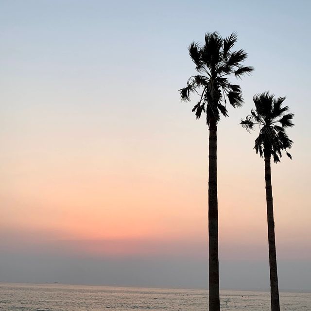 환상적인 애월의 노을 ☀️