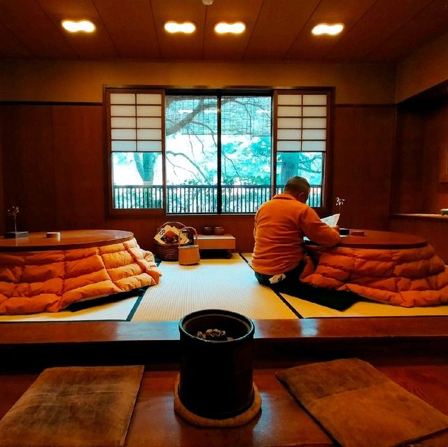 【兵庫県 有馬温泉】日本の文化✨こたつの間✨✨Vol. 3