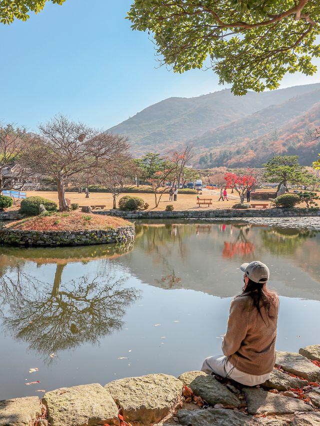 아름다운 연못이 있는 운림산방❣️