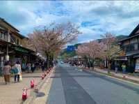 京都　KYOTO SAKURAめぐり❗️嵐電嵐山駅の桜に感動❗️足湯も⁈