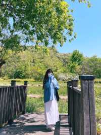 봄나들이 가기좋은 김해 봉황대공원 🌳