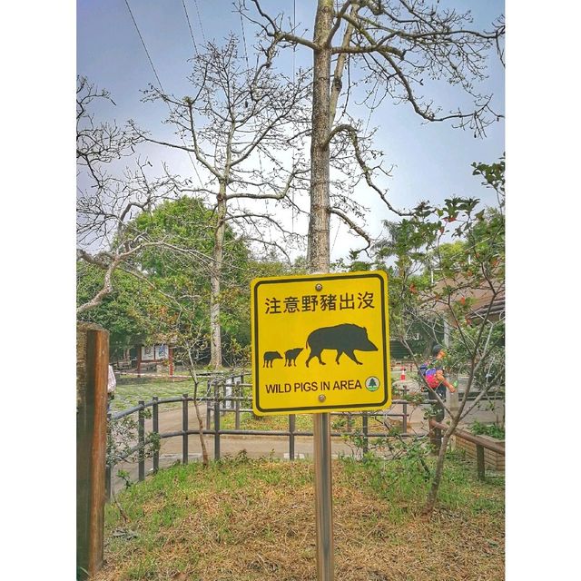 法定古蹟水壩。香港仔水塘