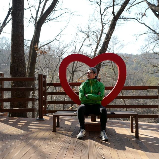 대전 등산 보문산 