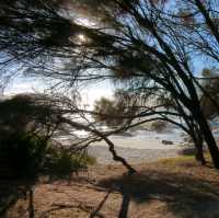 Soak in the sun and sea at Binalong Bay