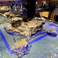 カメラ必須のすみだ水族館