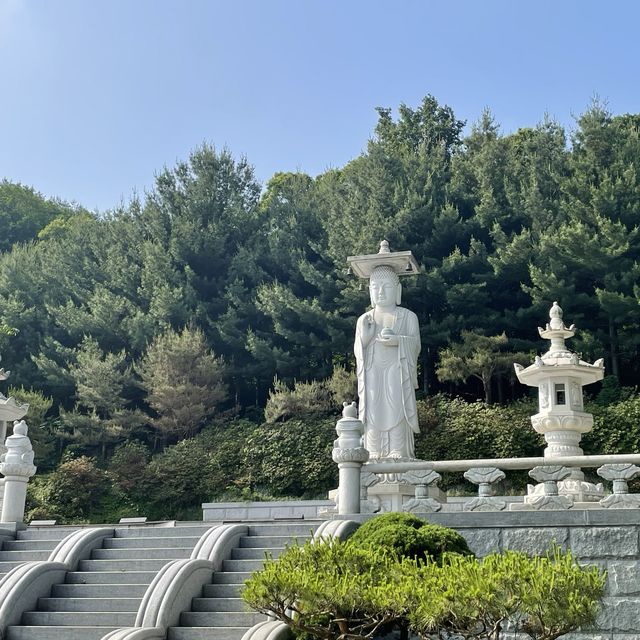 [등산 초보도 완등 가능 ] 서울 등산하기 좋은 산 추천  청계산 