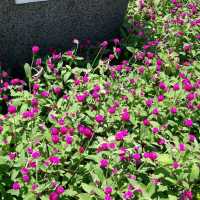 市中心休憩花園