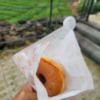 제주 애월 맛집 랜디스 도넛
