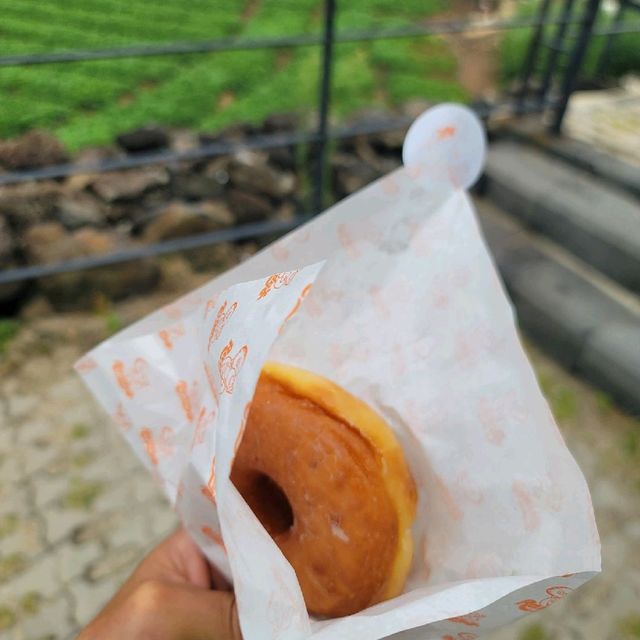 제주 애월 맛집 랜디스 도넛