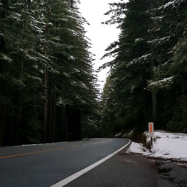 Roadtripping From Sanfranisco - Seattle