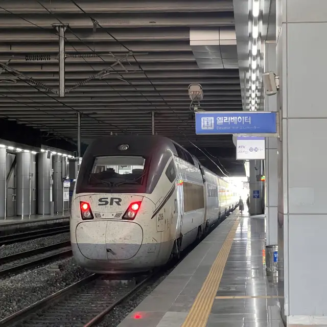 韓国の高速列車【KTX】ソウル→釜山へ🚄✨