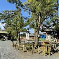 【熊本県】秋の阿蘇神社を参拝！
