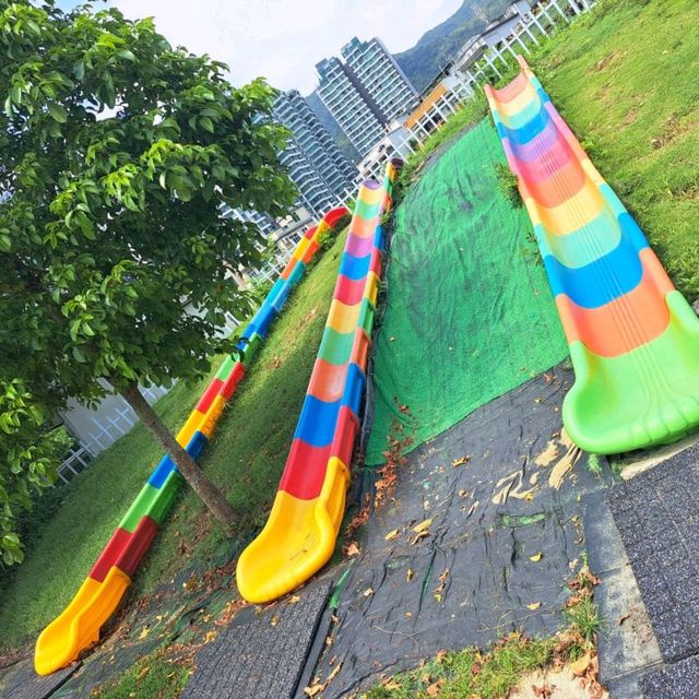 大埔蝶豆花園 天空之鏡 親親大自然
